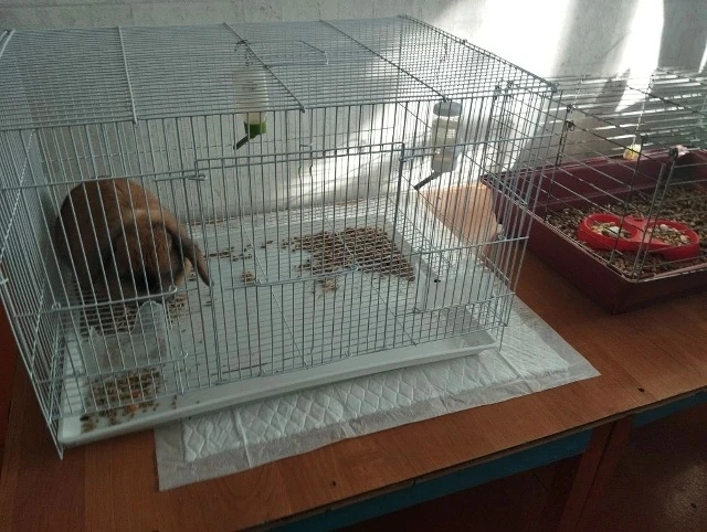 Дом культуры в каждом селе — место притяжения