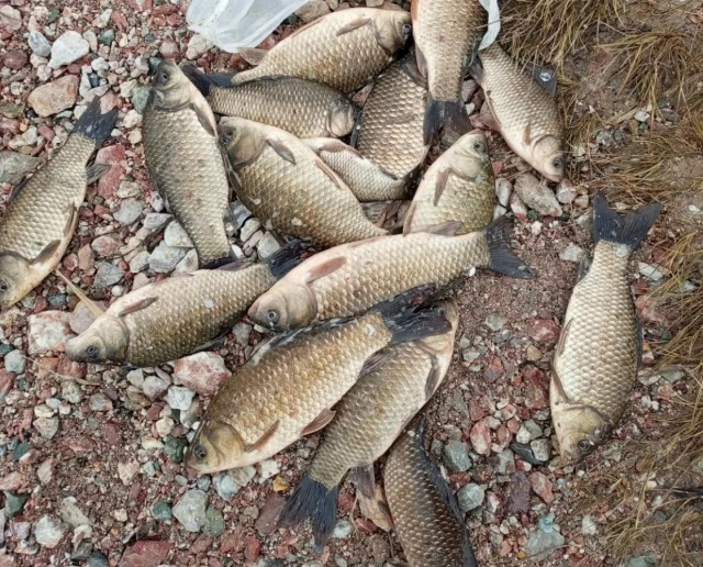 Вступает в силу запрет на рыбалку