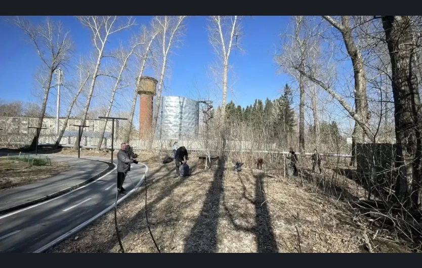 Тысячи жителей Новосибирской области провели субботники на общественных пространствах и дворах