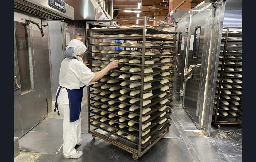 Более 5 тысяч вакансий представят работодатели региона на региональном этапе Всероссийской ярмарки трудоустройства.