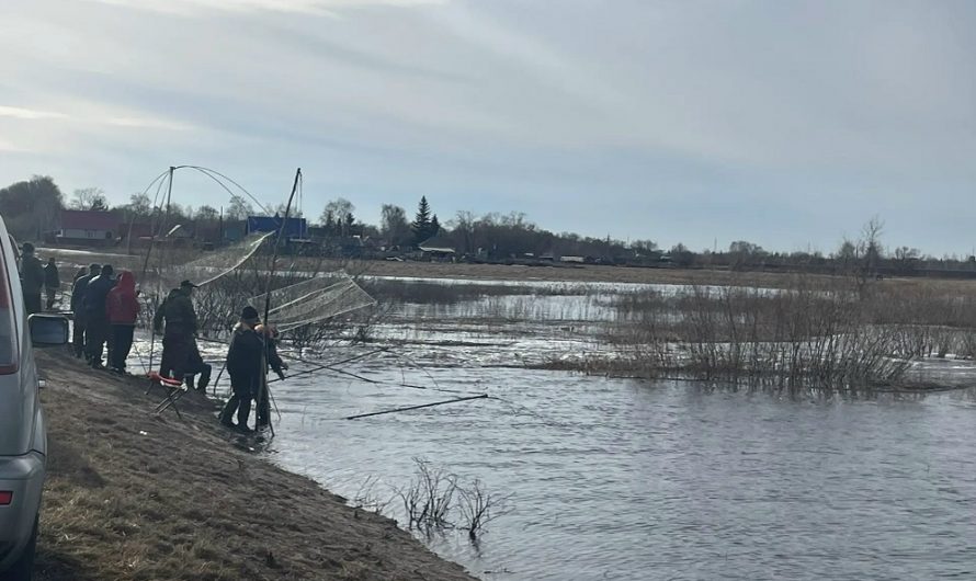 Во время паводка на Красном хуторе рыбаков становится больше. Говорят, ловятся щуки