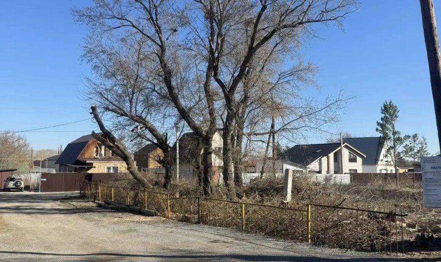 В Новосибирской области стартовали работы по благоустройству 116 объектов по нацпроекту
