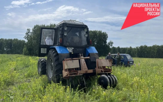 Агроуход за лесными культурами проведут в Новосибирской области на площади более 9 тысяч гектаров